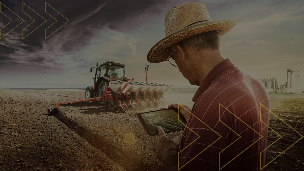 por que produzir mais não garante ganho